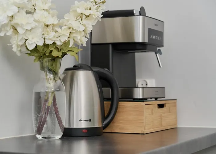 Appartement Odra Tower With Free Garage By Renters *